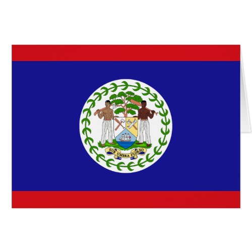 Belizean Flag