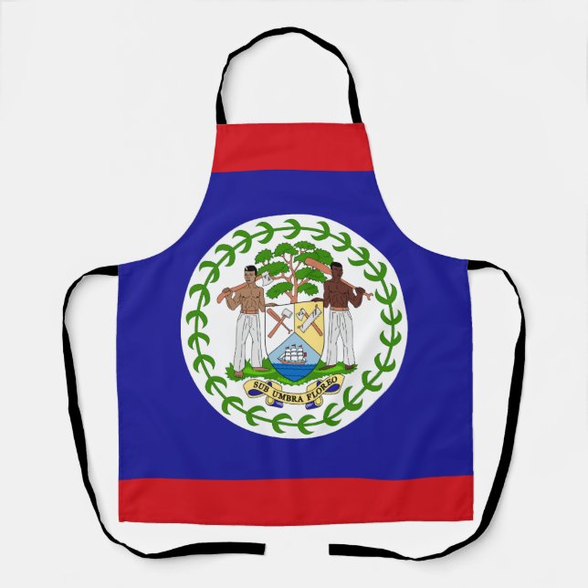 Belizean Flag Apron (Front)
