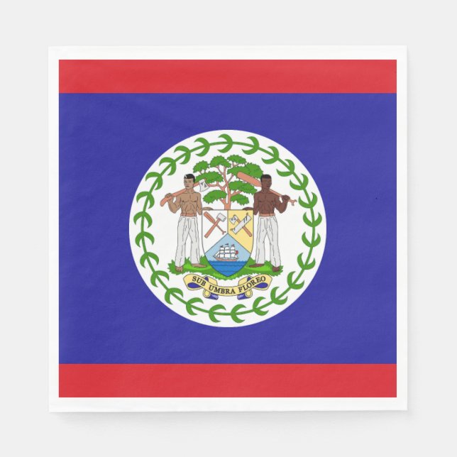 Belizean Flag Napkins (Front)
