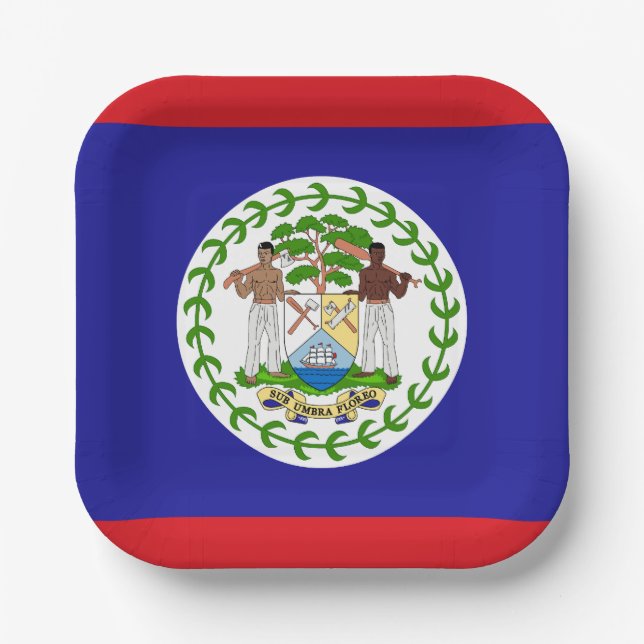 Belizean Flag Paper Plates (Front)