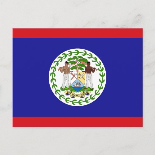 Belizean Flag Postcard