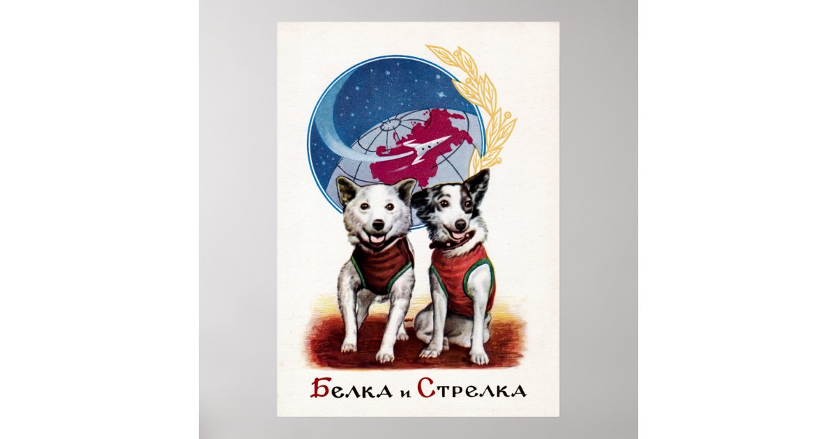 what kind of dogs were belka and strelka