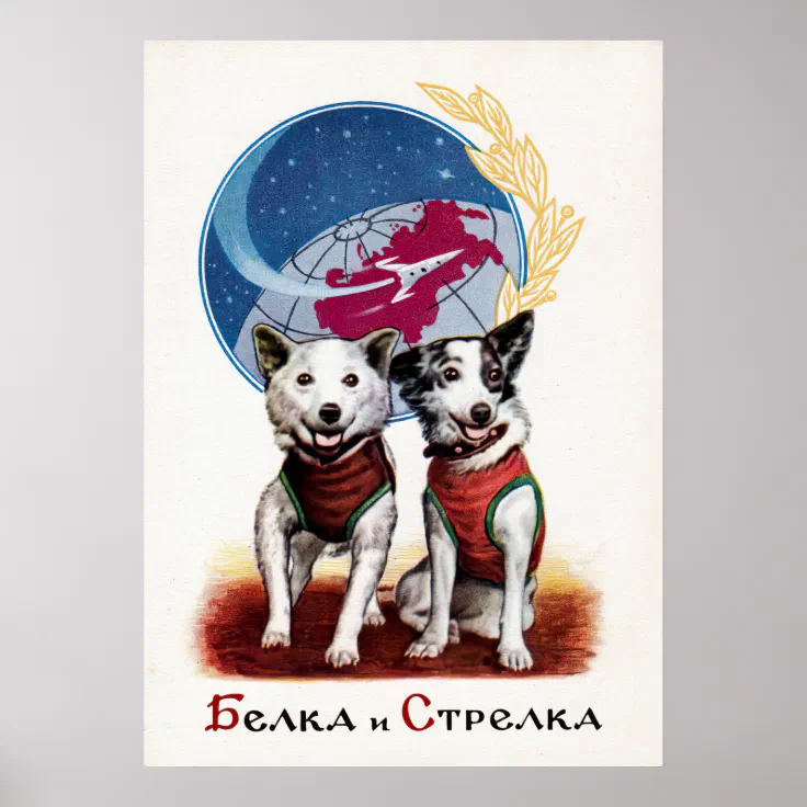 what kind of dogs were belka and strelka