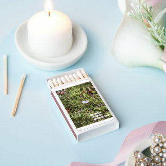 Belknap Mushroom with Quote Matchboxes