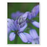 bell-flowers-12 temporary tattoos
