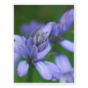 bell-flowers-12 temporary tattoos