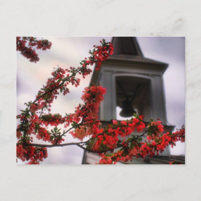bell flowers the Old Lynchburg Virginia Cemetery Postcard (Front)