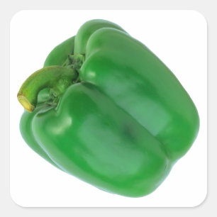 BELL PEPPER (GREEN) SQUARE STICKER
