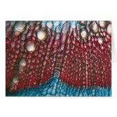 Bell Pepper under the microscope Cards (Front Horizontal)
