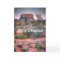 Bell rock Sedona, Arizona, Merry Christmas