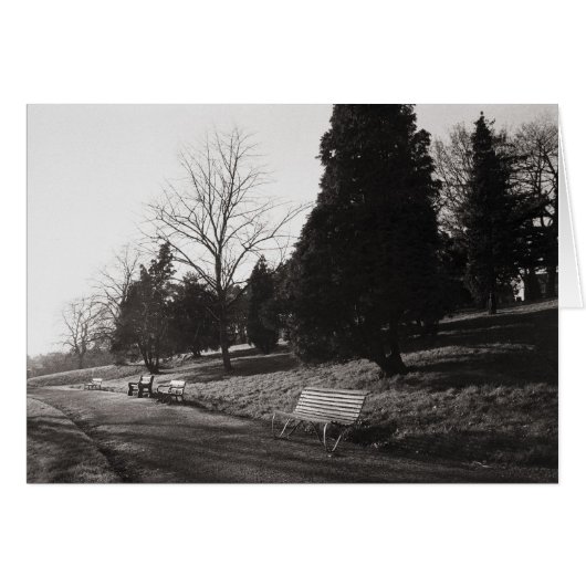 Bell Vue Park, Newport, Mon (Dec 1977) (Front Horizontal)