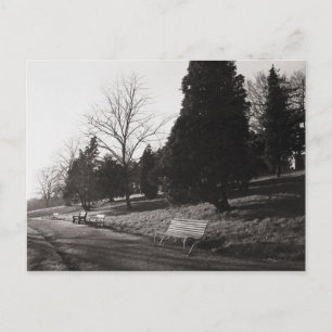 Bell Vue Park, Newport, Mon Postcard