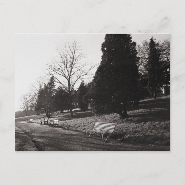 Bell Vue Park, Newport, Mon Postcard (Front)