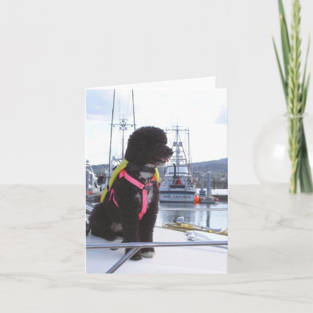 Bella and the Dog Catcher Card (Front)