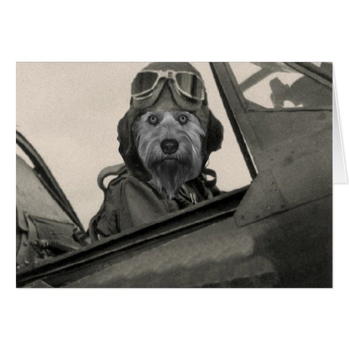 Bella As A 1940's Pilot Greeting Card