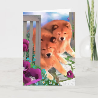 BELLA & BEAR heARTdog chow Card