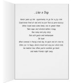 Bella&Buddy (Inside (Right))