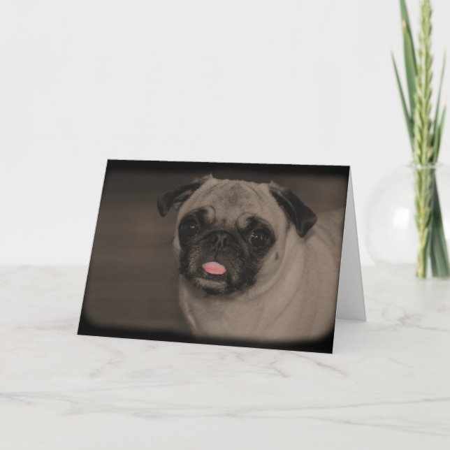 Bella Donna Greeting Card (Front)