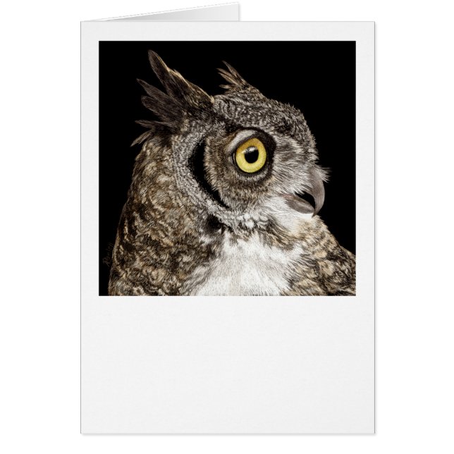 "Bella" - Great-horned Owl Cards (Front)