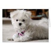 Bella Loves Golf (Front Horizontal)