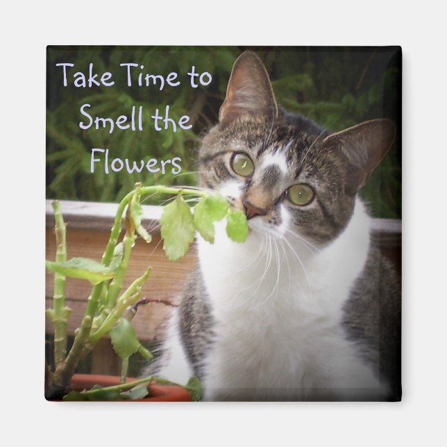 "BELLA" MAGNET (Front)