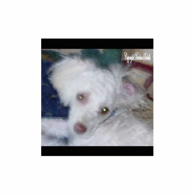 Bella Statuette (Front)