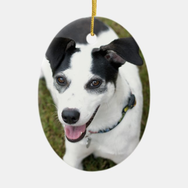 Bella the Rescue Dog Ceramic Ornament (Front)