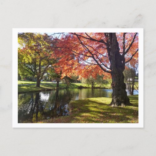 Bellarmine Pond Fairfield University Postcard 
