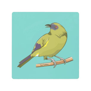 Bellbird Korimako NZ bird Metal Print