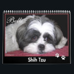 Belle The Shih Tzu Calendar<br><div class="desc">This attractive Shih Tzu breed calendar features 12 months of full colour photographs with plenty of room to write special dates,  birthdays and anniversaries on the calendar grid.</div>