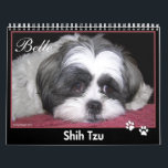 Belle The Shih Tzu Calendar<br><div class="desc">This attractive Shih Tzu breed calendar features 12 months of full colour photographs with plenty of room to write special dates,  birthdays and anniversaries on the calendar grid.</div>