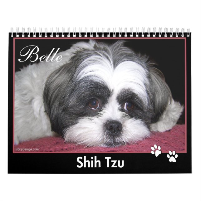 Belle The Shih Tzu Calendar (Cover)