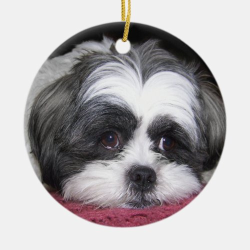 Belle The Shih Tzu Dog Ceramic Ornament