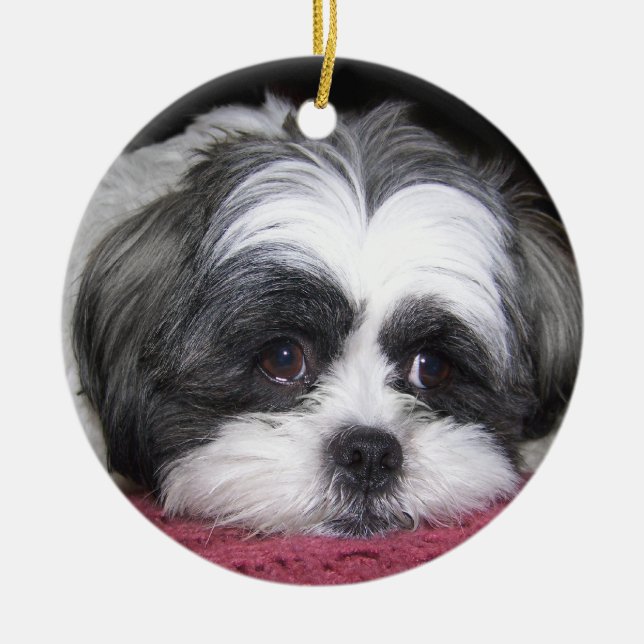 Belle The Shih Tzu Dog Ceramic Ornament (Front)