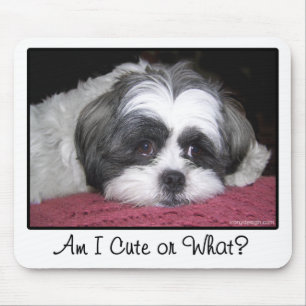 Belle The Shih Tzu Dog Mouse Pad
