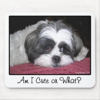 Belle The Shih Tzu Dog Mouse Pad