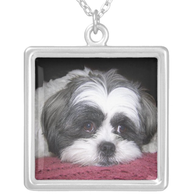 Belle The Shih Tzu Dog Silver Plated Necklace (Front)
