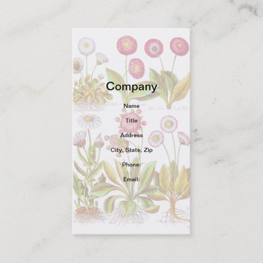 Customizable Belles in Pink Business Cards
