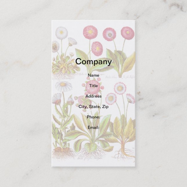 Belles in Pink Business Card (Front)