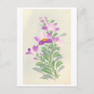 Bellflowers (Japan) Postcard