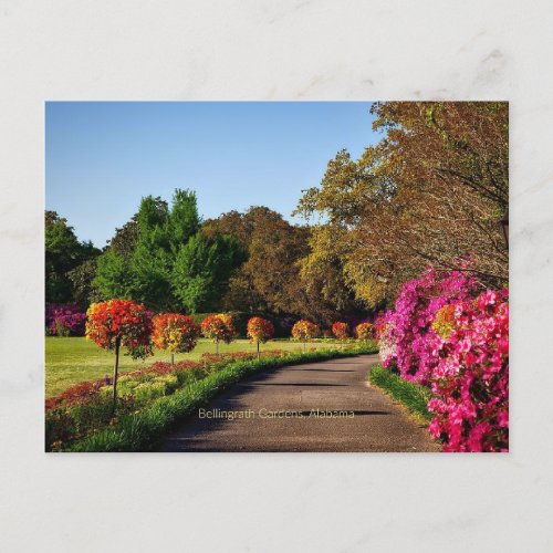 Bellingrath Gardens Alabama Postcard