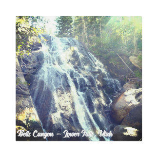 Bells Canyon Lower Falls UTAH Metal Print