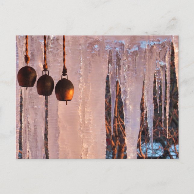 Bells Ice Icicles in Light of Setting Sun Postcard (Front)
