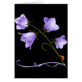 Bells of Ireland Flower (Front)