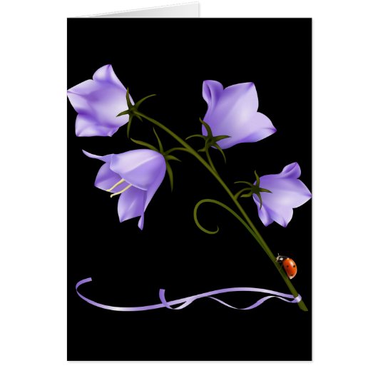 Bells of Ireland Flower Cards (Front)