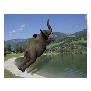 Belly Flop Elephant Cards