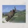 Belly Flop Elephant Postcard