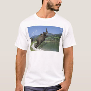 Belly Flop Elephant T-Shirt