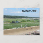 Belmont Park Postcard at Zazzle