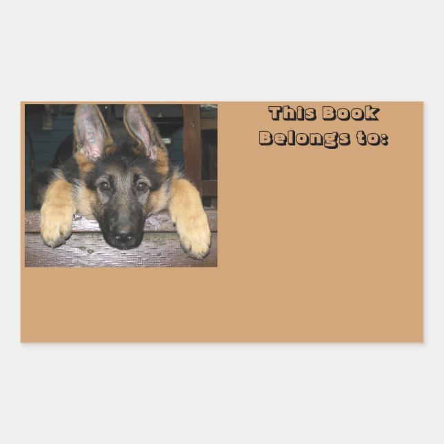 Belongs to name Sticker (Front)